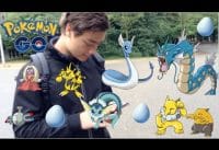 Beste Pokémon Go Stad in Nederland Beste Pokémon Go Stad in Nederland