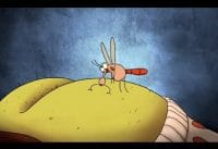 Waarom jeuken muggenbeten? Waarom jeuken muggenbeten?