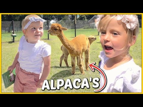 Logeren op de alpacaboerderij met de Bellinga's 1 Logeren op de alpacaboerderij met de Bellinga's 1