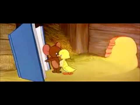 Tom and Jerry. Imprinting Duck Tom and Jerry. Imprinting Duck