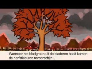 Waarom veranderen bomen in de herfst? 7 Waarom veranderen bomen in de herfst