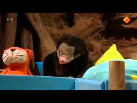 Koekeloere herfstweer Koekeloere herfstweer