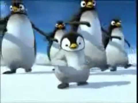 Papa Pinguïn Song Papa Pinguïn Song