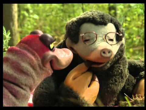 Koekeloere – Blij op een Ei Koekeloere – Blij op een Ei