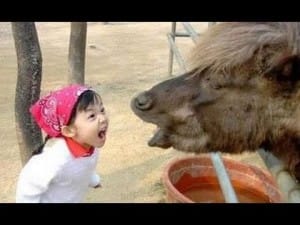 Fun met kinderen en dieren! 67 Fun met kinderen en dieren! 48