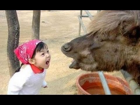 Fun met kinderen en dieren! Fun met kinderen en dieren!