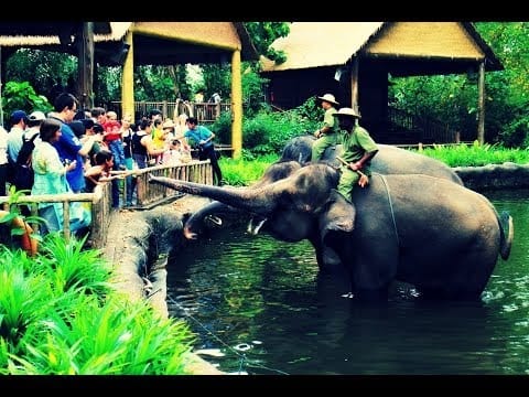 Singapore Zoo Singapore Zoo