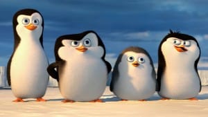 Pinguins van Madagascar documentaire 37 Pinguins van Madagascar documentaire 37
