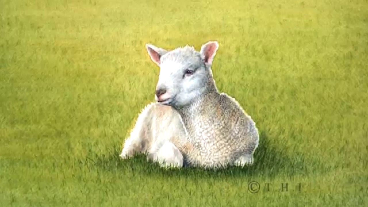 Lammetje, lammetje, lammetje 1 Lammetje, lammetje, lammetje 1