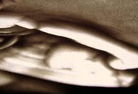 Pasen met de Zandtovenaar: Palmpasen Pasen met de Zandtovenaar: Palmpasen