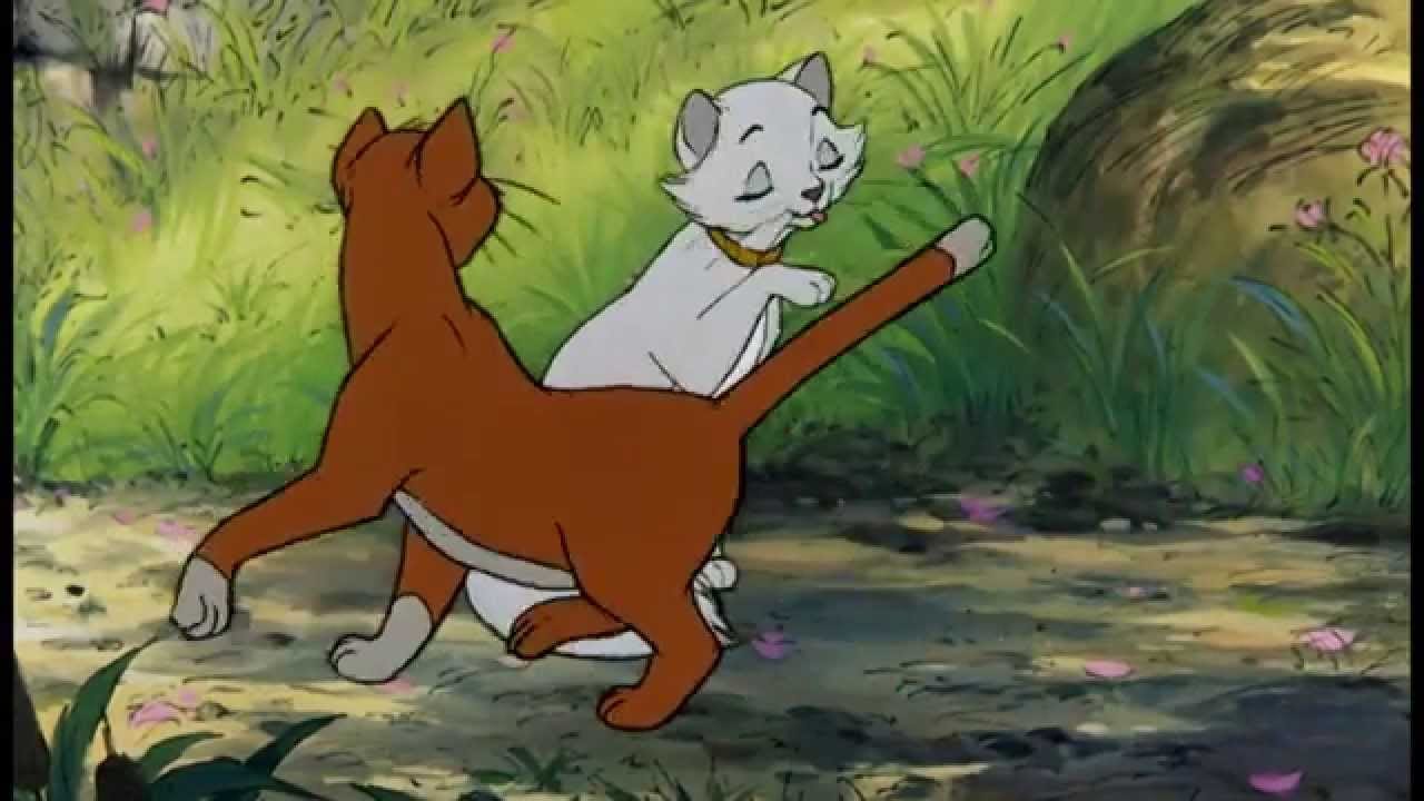 De Aristokatten | Kat Met De Grote K 1 De Aristokatten | Kat Met De Grote K 1