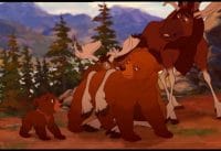 Brother Bear | Onderweg Brother Bear | Onderweg