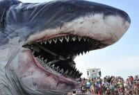 10 Grootste Dieren Ooit! 10 Grootste Dieren Ooit!