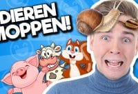 10 beste dierenmoppen 10 beste dierenmoppen