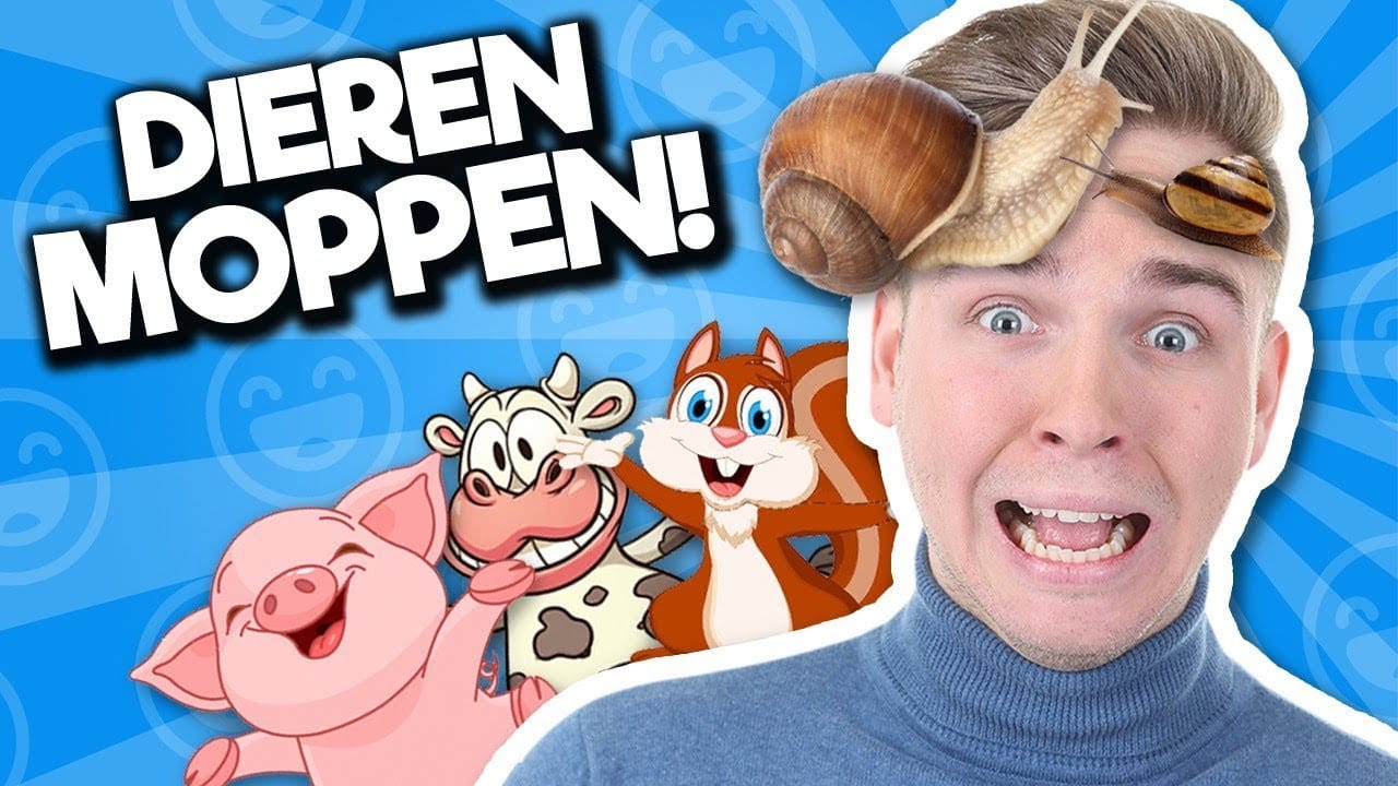 10 beste dierenmoppen 1 10 beste dierenmoppen 1