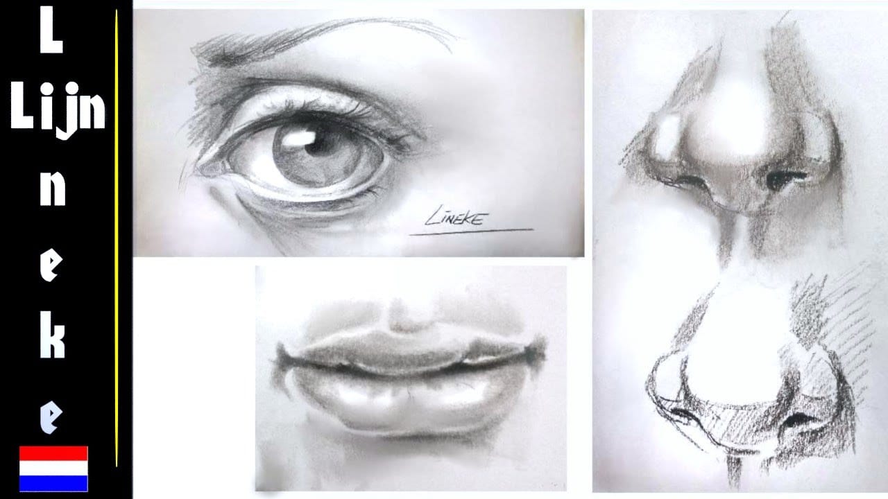 Oog, neus en mond tekenen 1 Oog, neus en mond tekenen 1