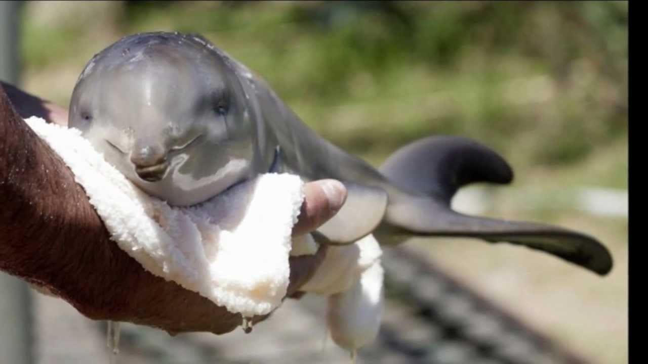 Soothing and sweet Soothing and sweet